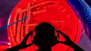 Spectroscopic analysics of a bacteria culture in the lab